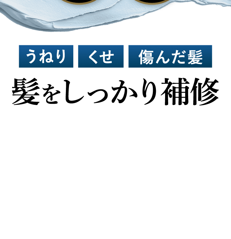 髪をしっかり補修