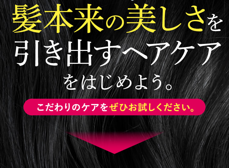 髪本来の美しさを引き出すヘアケアをはじめよう。