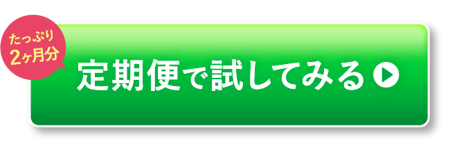 定期便で試してみる