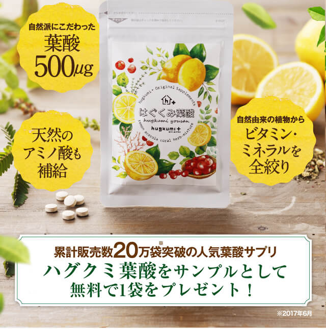 の通信販売 あおい様専用！ハグクミの恵み＋はぐくみ葉酸 | solinvet.com