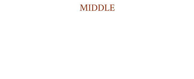 middle 洗練されたダージリンと甘く熟したフィグの芳醇な香りに心が満たされる